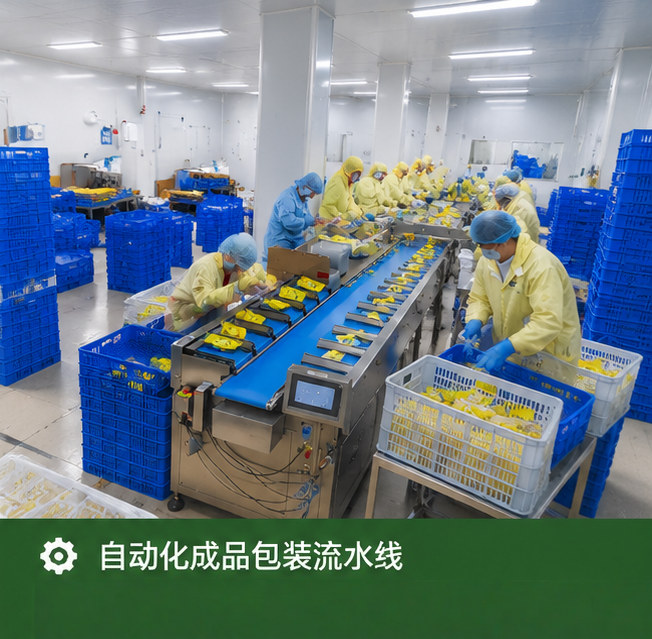 榴莲产品生产供应协作现场